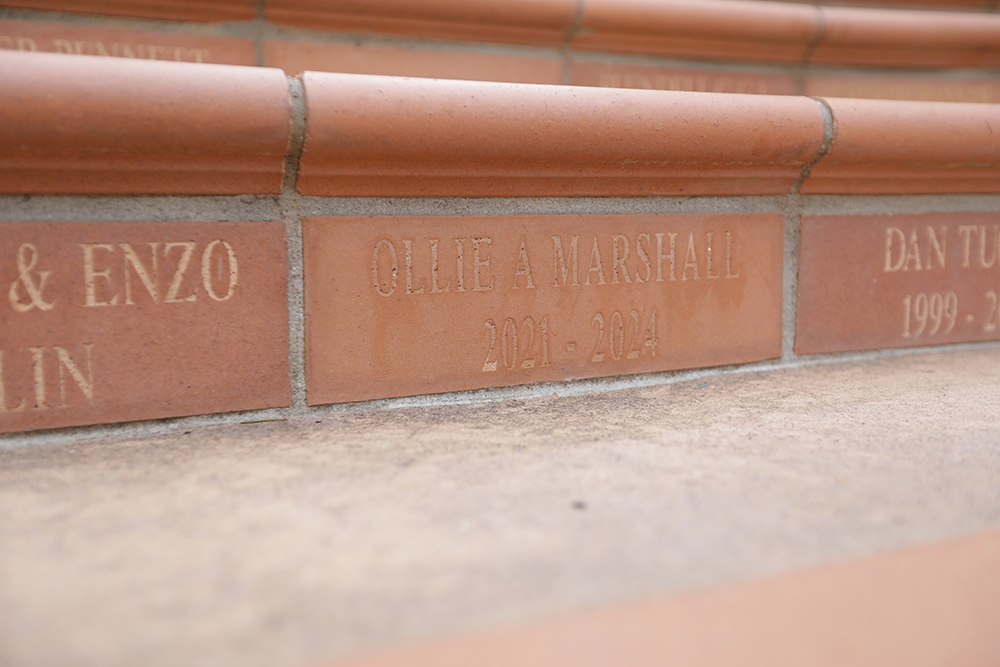 Wellesley College bricks